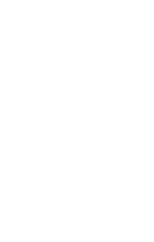 Team TMo - Logo Design